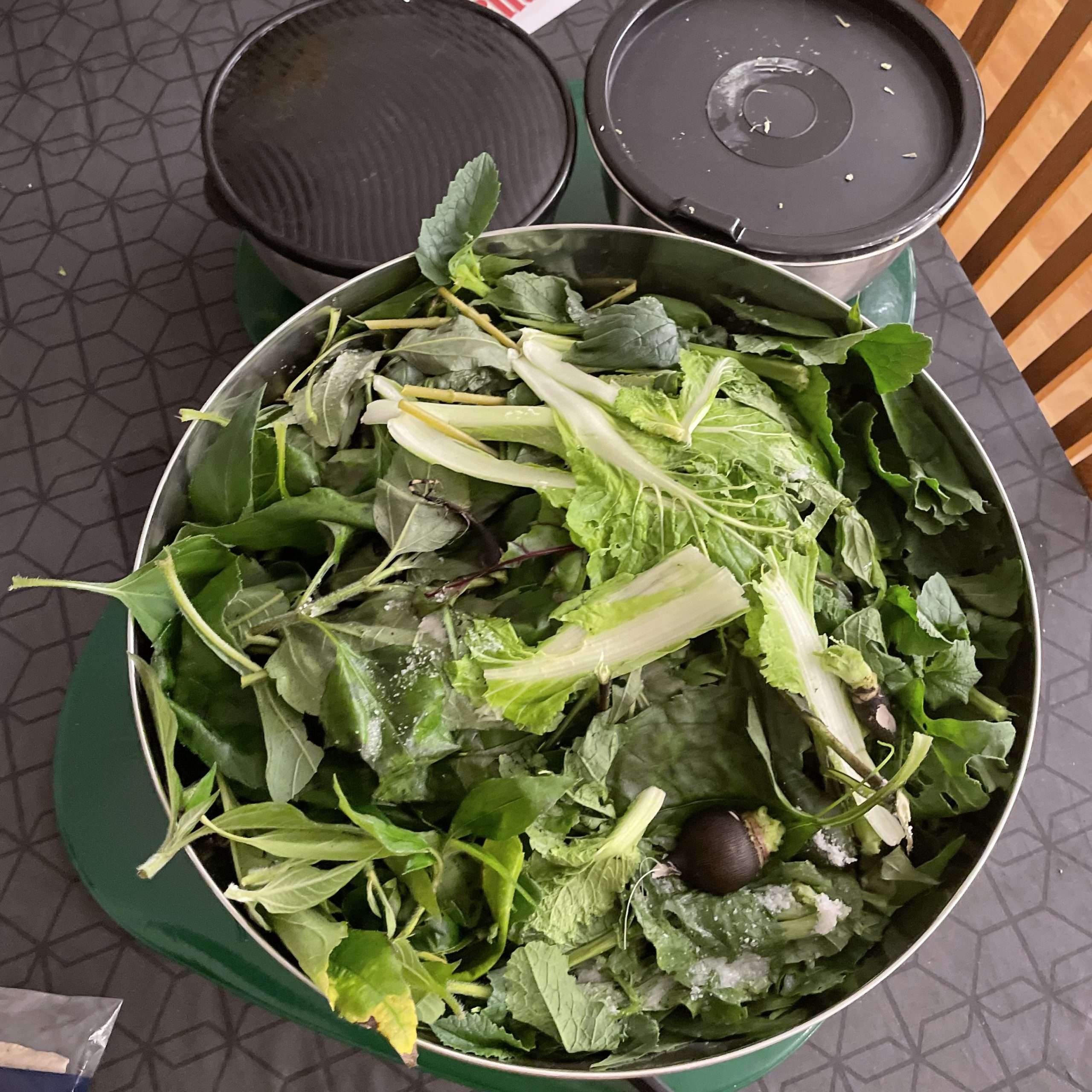 garden update - sunchoke greens