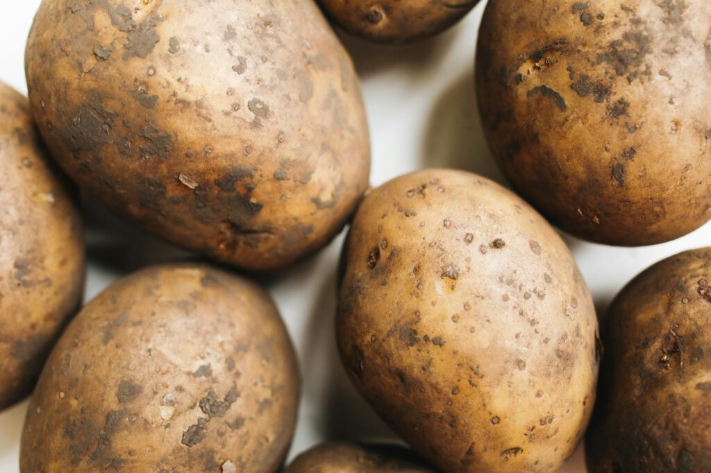 The First Round of Potatoes Are in The Ground