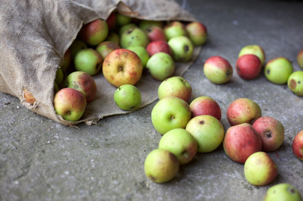 How I Got A Free Continuous Batch Of ACV