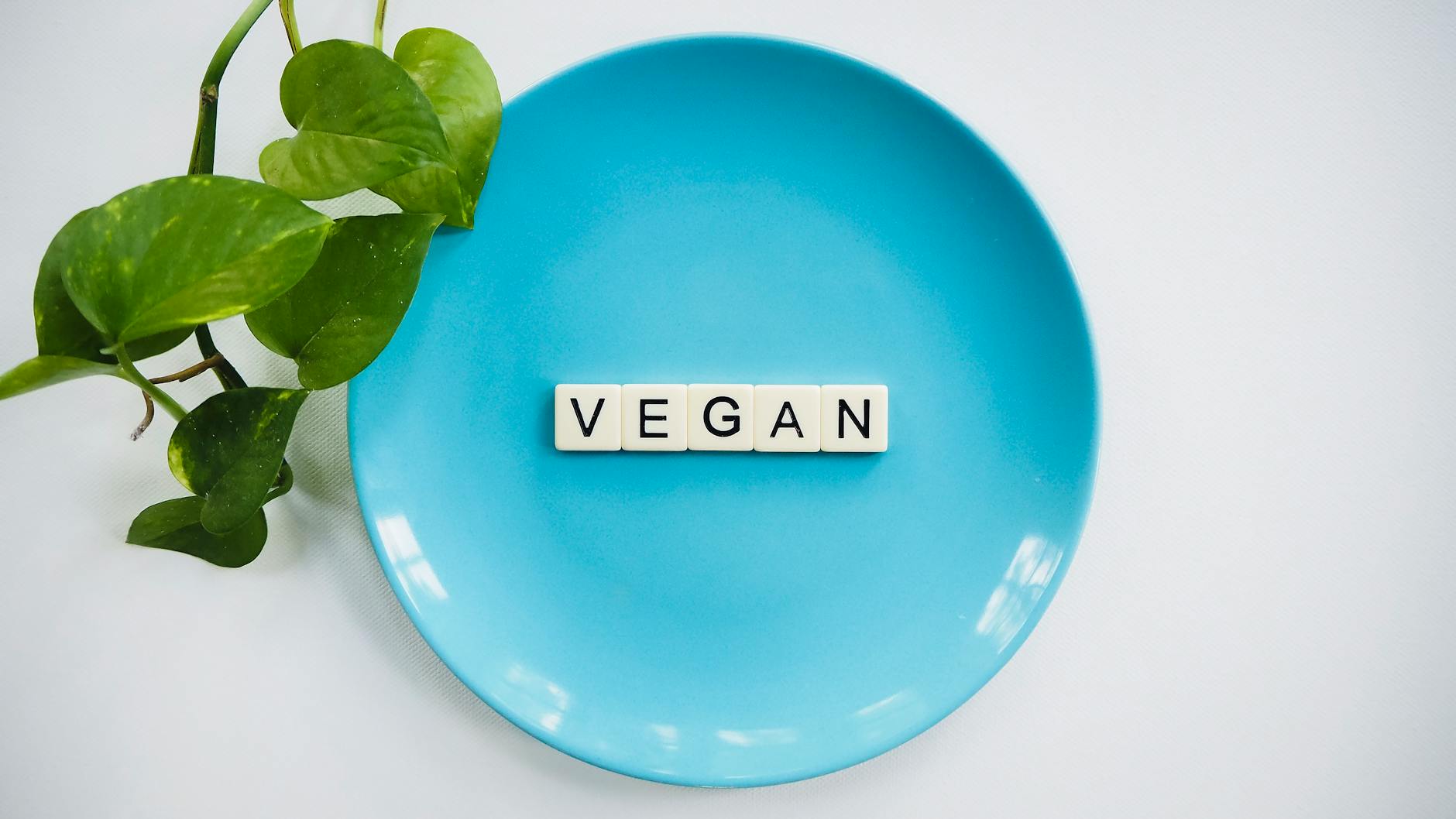 Vegan – Learning From The Mistakes Restaurants And Coffee Shops Make